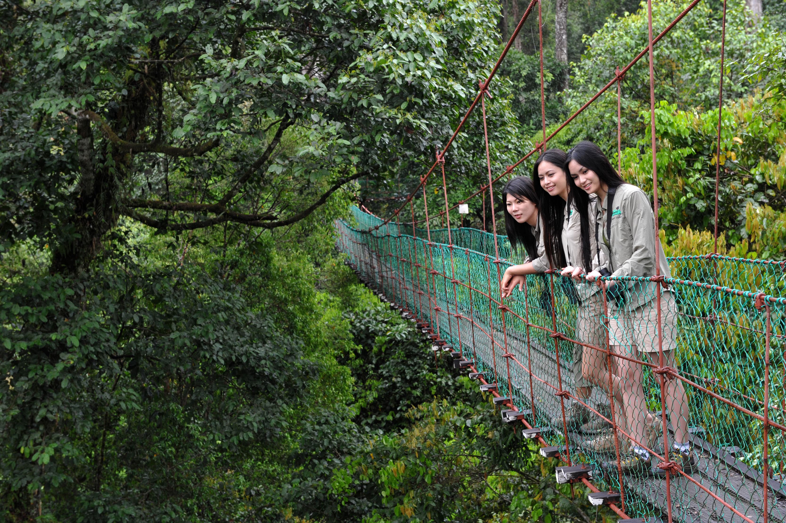 Reconnect with Nature