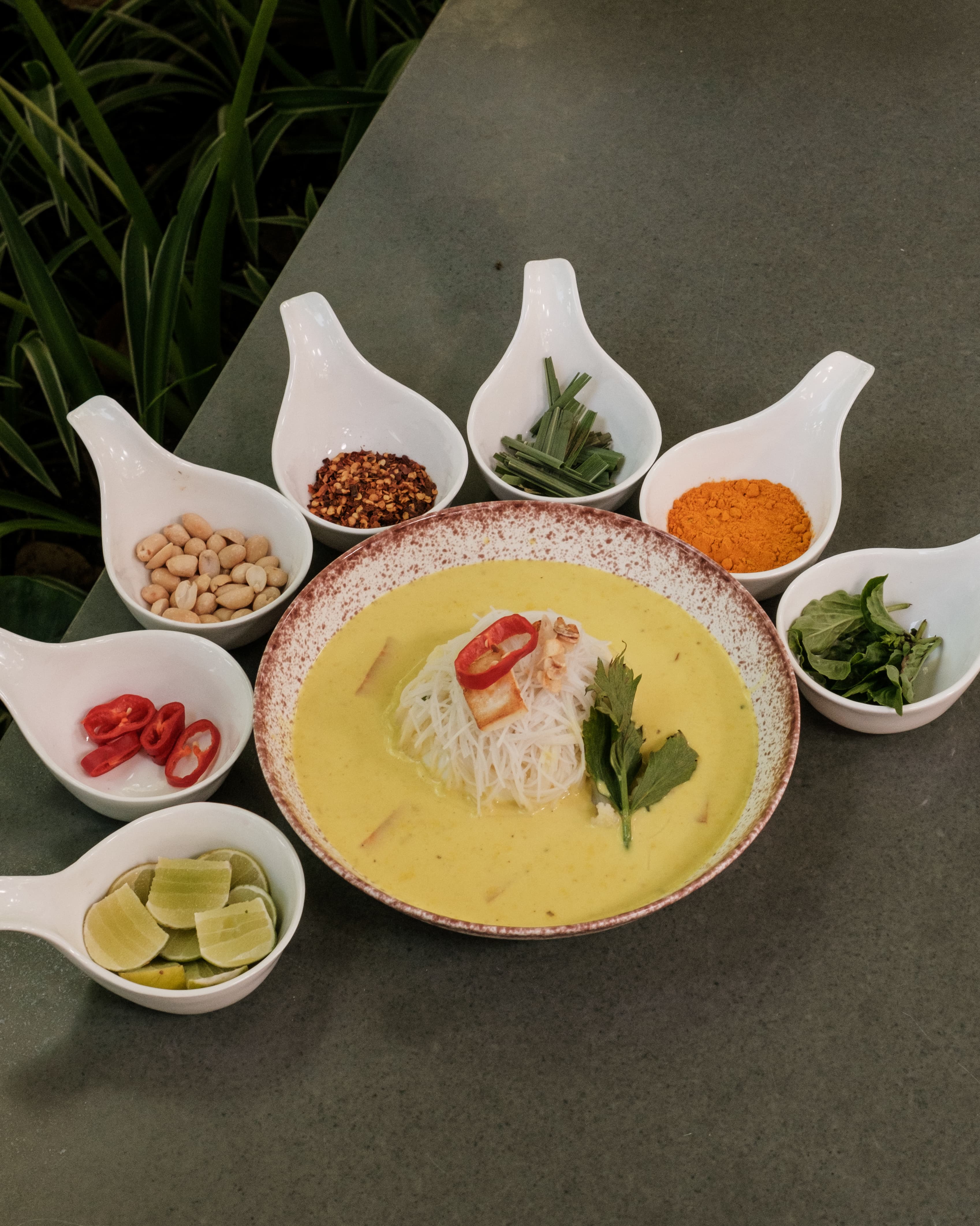 Healing Nutrition That Aligns With Your Body