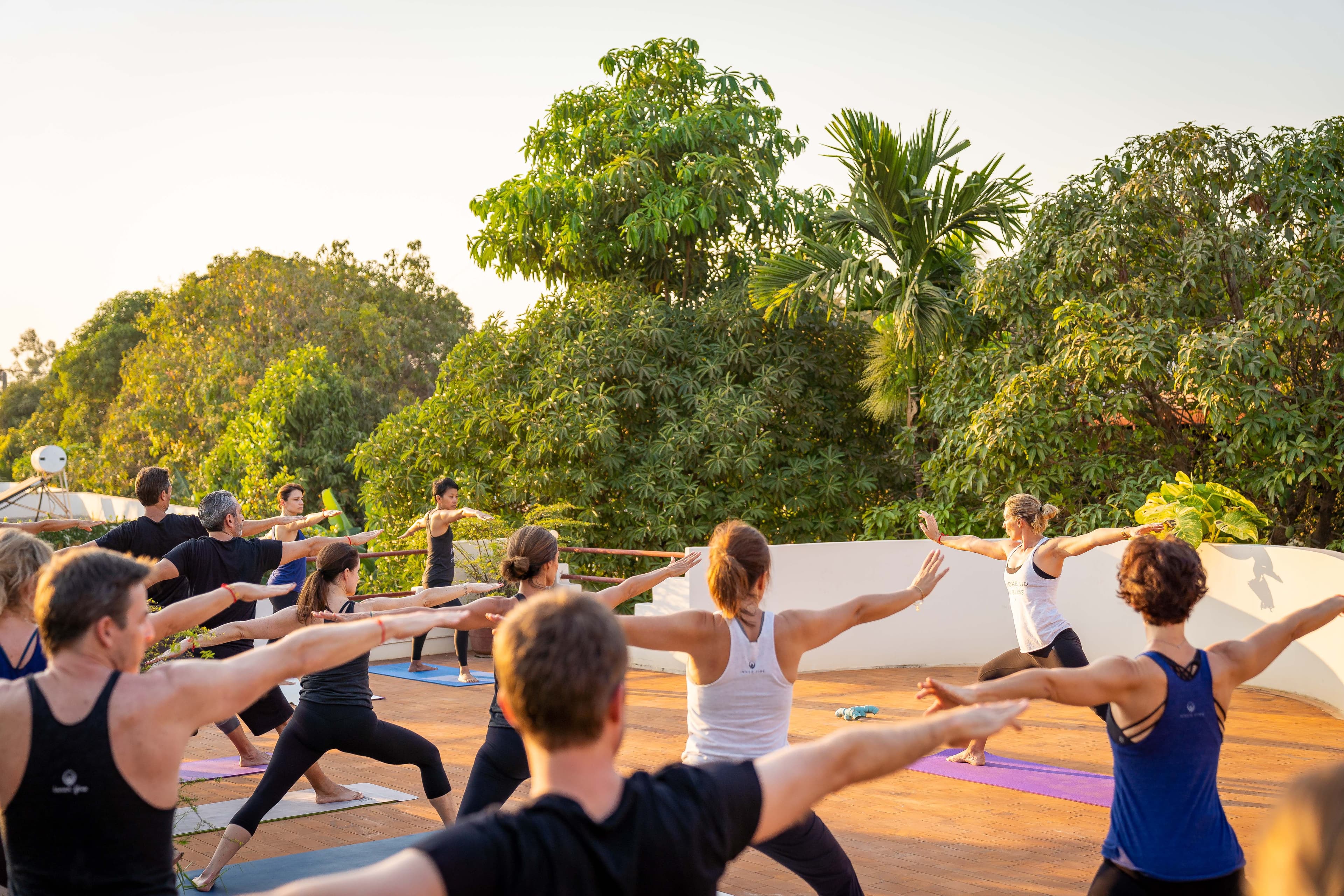 Daily Yoga and Guided Meditation