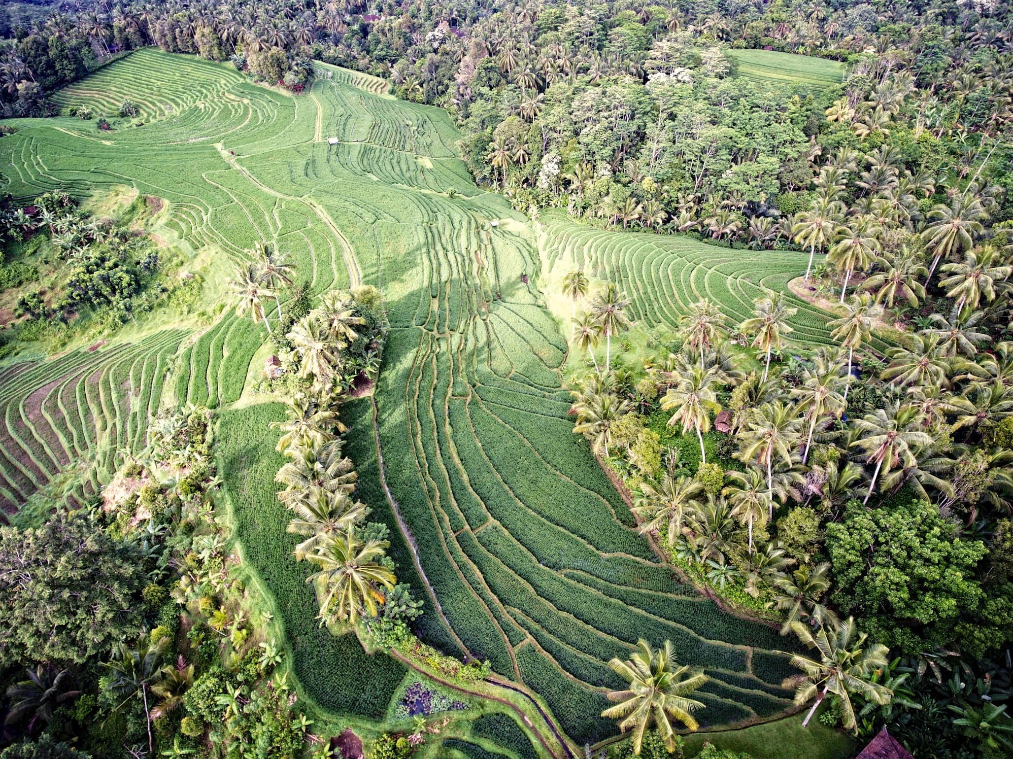Breathtaking Natural Settings
